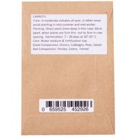 Sandveld Seeds Carrot Nantes